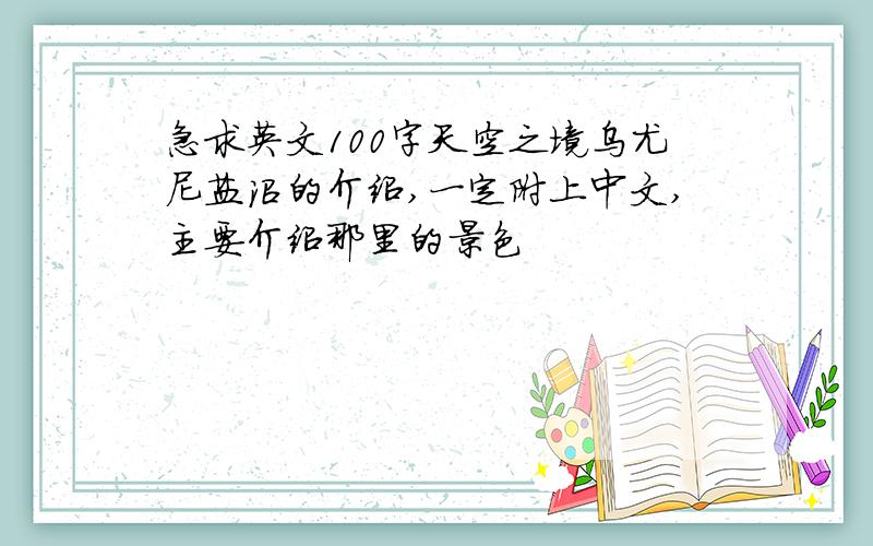 急求英文100字天空之境乌尤尼盐沼的介绍,一定附上中文,主要介绍那里的景色