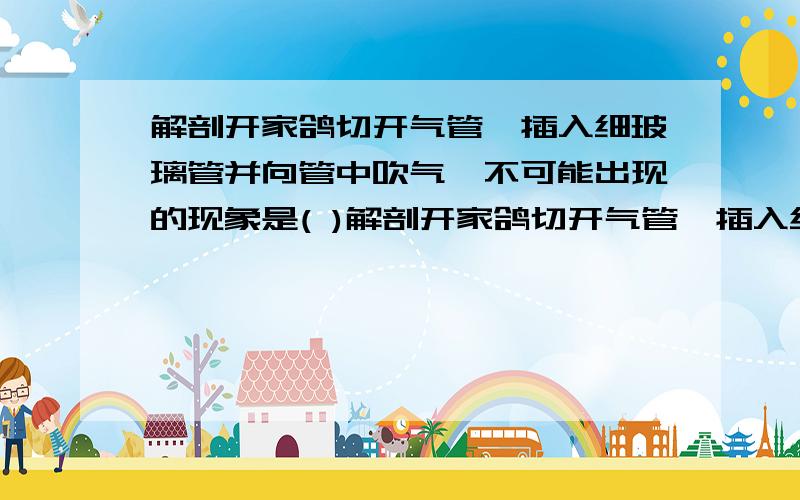 解剖开家鸽切开气管,插入细玻璃管并向管中吹气,不可能出现的现象是( )解剖开家鸽切开气管,插入细玻璃管并向管中吹气,不可能出现的现象是（ ）A.气囊膨胀 B.肺膨胀 C.内脏浮动 D.嗉囊膨胀