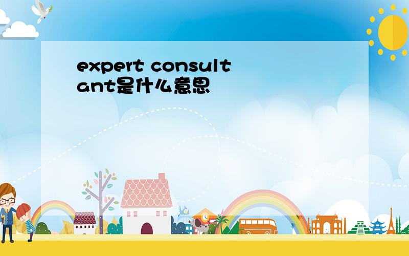 expert consultant是什么意思