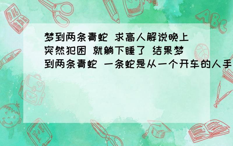 梦到两条青蛇 求高人解说晚上突然犯困 就躺下睡了 结果梦到两条青蛇 一条蛇是从一个开车的人手里放出来的 对蛇说小心点   另一条在树下 旁边有老人说这是青蛇 我在吃东西吃的东西很像