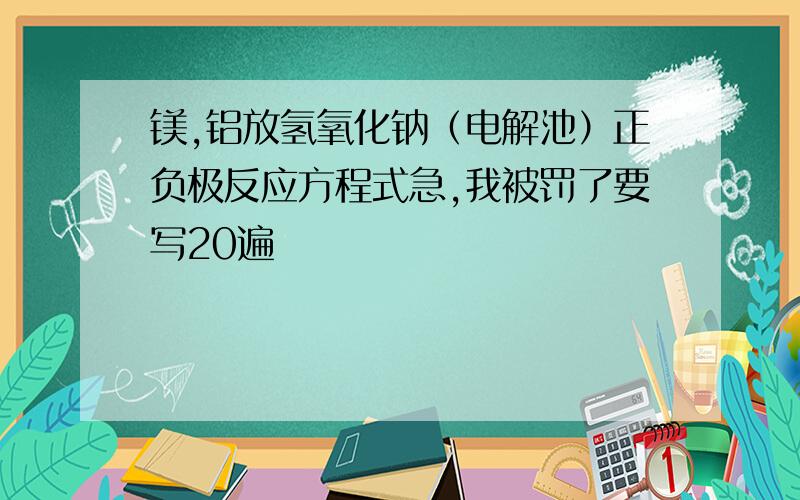 镁,铝放氢氧化钠（电解池）正负极反应方程式急,我被罚了要写20遍