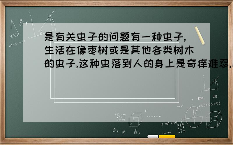 是有关虫子的问题有一种虫子,生活在像枣树或是其他各类树木的虫子,这种虫落到人的身上是奇痒难忍,以至于粪便落到身上也是一样,痛痒得厉害.我们这里叫它“巴筋儿（读音）”我想知道