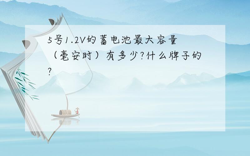 5号1.2V的蓄电池最大容量（毫安时）有多少?什么牌子的?