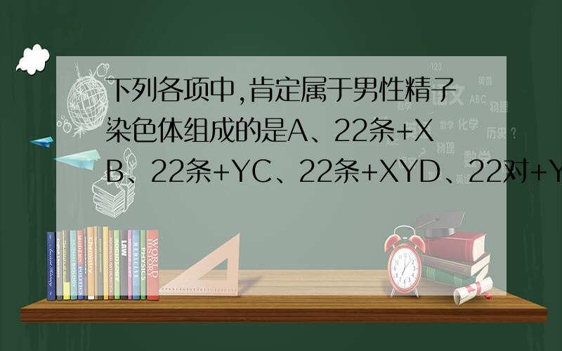 下列各项中,肯定属于男性精子染色体组成的是A、22条+XB、22条+YC、22条+XYD、22对+Y