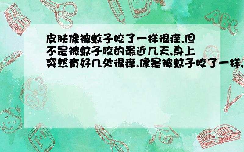 皮肤像被蚊子咬了一样很痒,但不是被蚊子咬的最近几天,身上突然有好几处很痒,像是被蚊子咬了一样,抓过之后有一小个红胞（和被蚊子咬了差不多）,但红胞上有被抓过后留下一个小疤,就是