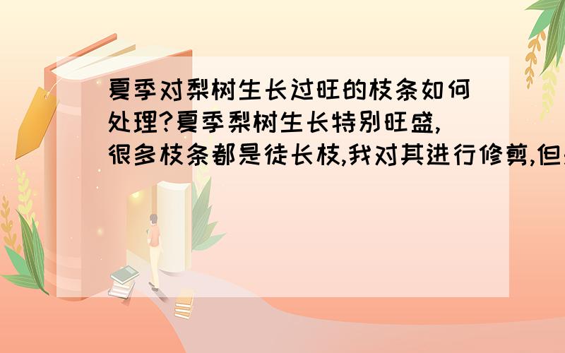 夏季对梨树生长过旺的枝条如何处理?夏季梨树生长特别旺盛,很多枝条都是徒长枝,我对其进行修剪,但是修剪部位下的第一个芽又长出了徒长枝,而且很多都是竖直向上的枝条.5月初修剪了一次