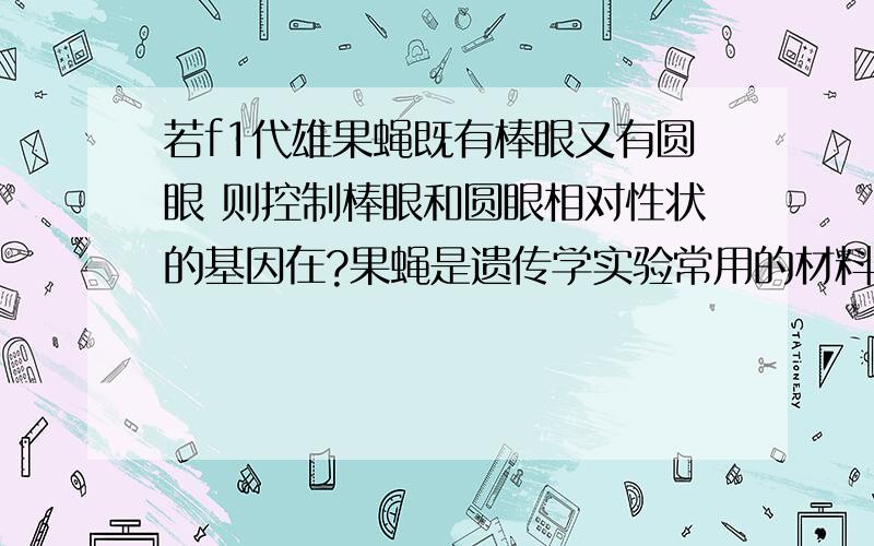 若f1代雄果蝇既有棒眼又有圆眼 则控制棒眼和圆眼相对性状的基因在?果蝇是遗传学实验常用的材料,一对果蝇每代可以繁殖出许多后代.回答下列问题：（1）正常情况下,雄果蝇在减数分裂过