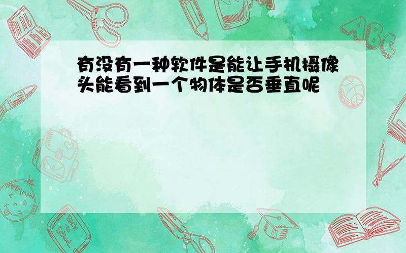 有没有一种软件是能让手机摄像头能看到一个物体是否垂直呢