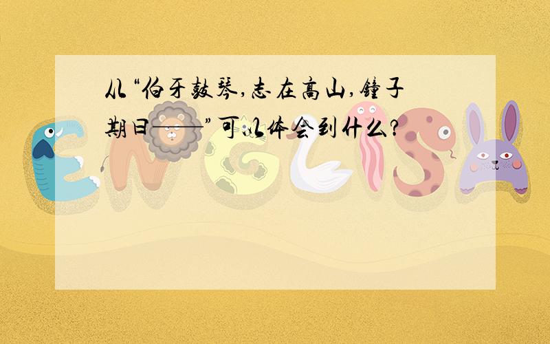 从“伯牙鼓琴,志在高山,钟子期曰——”可以体会到什么?