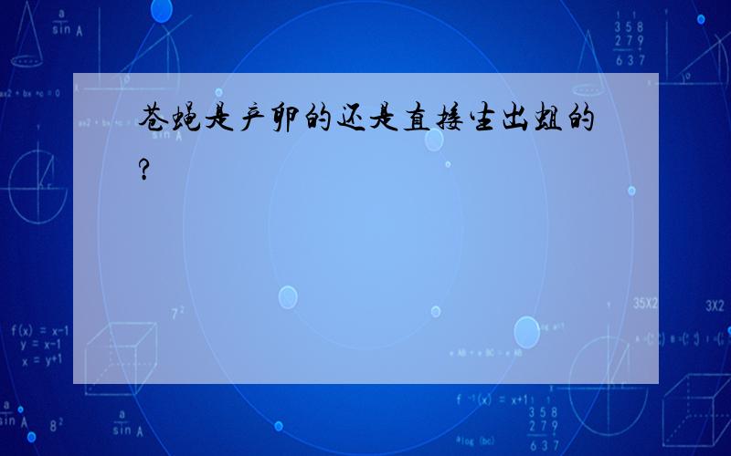 苍蝇是产卵的还是直接生出蛆的?