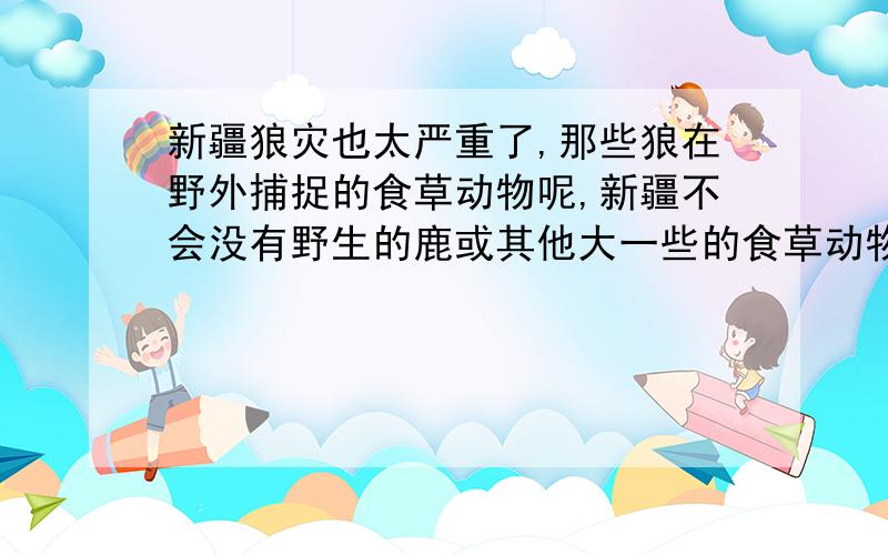 新疆狼灾也太严重了,那些狼在野外捕捉的食草动物呢,新疆不会没有野生的鹿或其他大一些的食草动物吧?