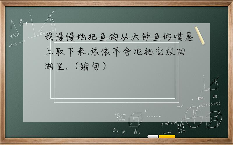 我慢慢地把鱼钩从大鲈鱼的嘴唇上取下来,依依不舍地把它放回湖里.（缩句）