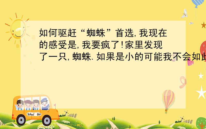 如何驱赶“蜘蛛”首选,我现在的感受是,我要疯了!家里发现了一只,蜘蛛.如果是小的可能我不会如此惶恐,它爬在墙上,足有一个酒瓶底那么大,一点都不夸张,所以,当我看到它的时候,我第一个