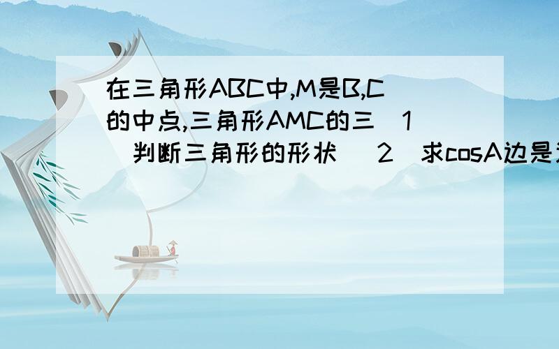 在三角形ABC中,M是B,C的中点,三角形AMC的三(1)判断三角形的形状 (2)求cosA边是连续的三个整数且tanC=cotB在三角形ABC中，M是B,C的中点，三角形AMC的三角形AMC的三边是连续的三个整数且tanC=cotBAM 1)