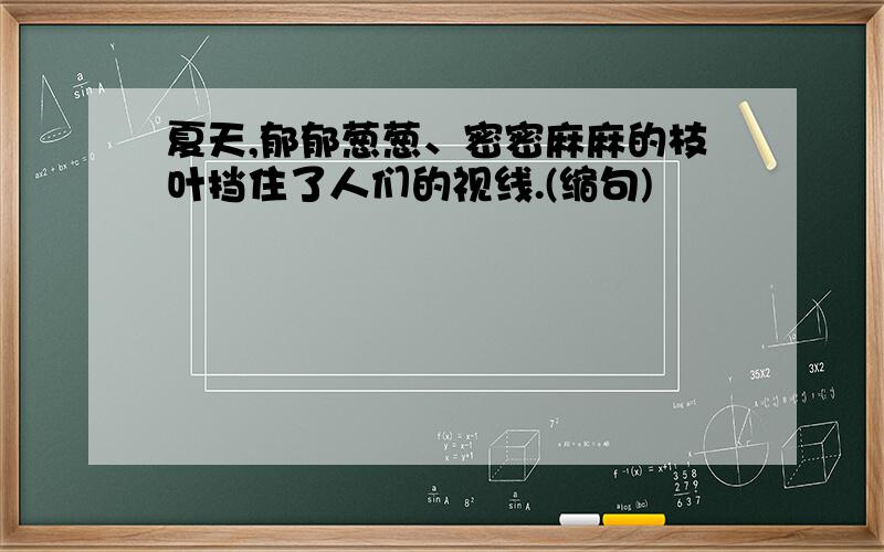 夏天,郁郁葱葱、密密麻麻的枝叶挡住了人们的视线.(缩句)