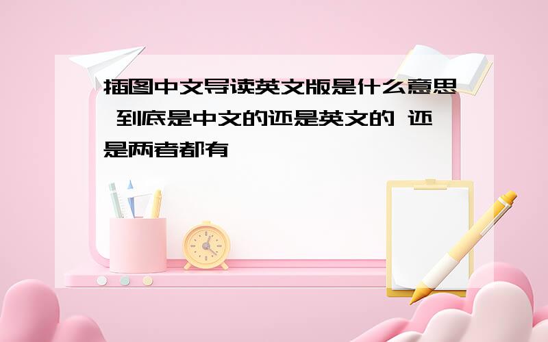 插图中文导读英文版是什么意思 到底是中文的还是英文的 还是两者都有