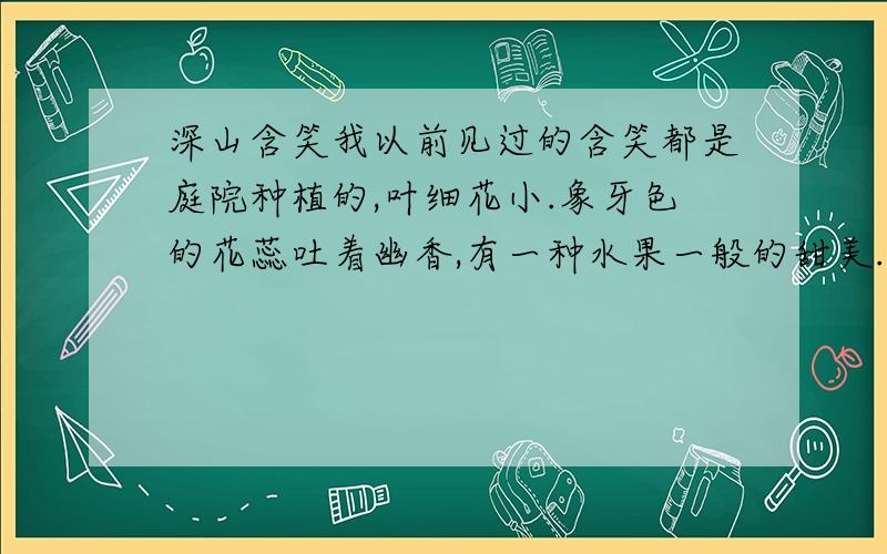 深山含笑我以前见过的含笑都是庭院种植的,叶细花小.象牙色的花蕊吐着幽香,有一种水果一般的甜美.含笑不（以、已）艳丽著称,妙的是一缕馨香.在井冈山深处,我被另一种含笑折服.几株两