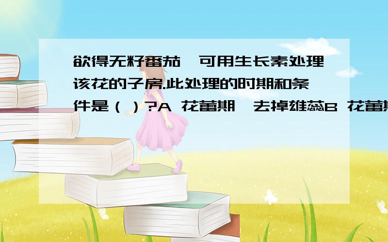 欲得无籽番茄,可用生长素处理该花的子房.此处理的时期和条件是（）?A 花蕾期,去掉雄蕊B 花蕾期,不去雄蕊C 开花后,不去雄蕊D 开花后,去掉雄蕊