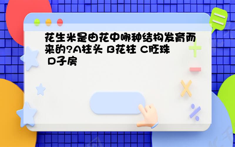 花生米是由花中哪种结构发育而来的?A柱头 B花柱 C胚珠 D子房