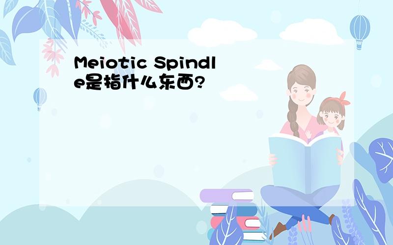 Meiotic Spindle是指什么东西?