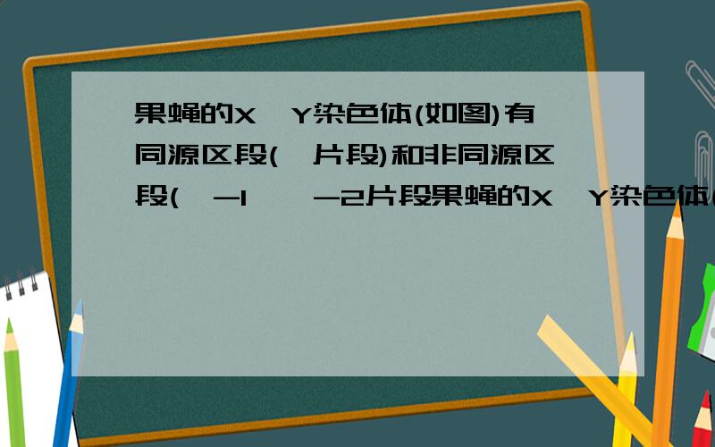 果蝇的X,Y染色体(如图)有同源区段(Ⅰ片段)和非同源区段(Ⅱ-1,Ⅱ-2片段果蝇的X,Y染色体(如图)有同源区段(Ⅰ片段)和非同源区段(Ⅱ-1,Ⅱ-2片段）.有关杂交实验结果如下表.下列对结果分析错误的