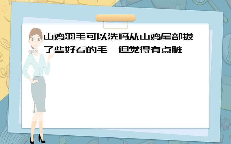 山鸡羽毛可以洗吗从山鸡尾部拔了些好看的毛,但觉得有点脏,