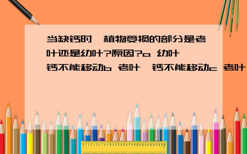 当缺钙时,植物受损的部分是老叶还是幼叶?原因?a 幼叶,钙不能移动b 老叶,钙不能移动c 老叶,钙能移动d 幼叶,钙能移动