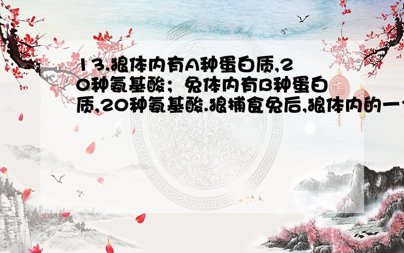 13.狼体内有A种蛋白质,20种氨基酸；兔体内有B种蛋白质,20种氨基酸.狼捕食兔后,狼体内的一个细胞中含有蛋白质种类和氨基酸种类最可能是（ ）A.A＋B,40 B.A,20 C.大于A,20 D.小于A,20