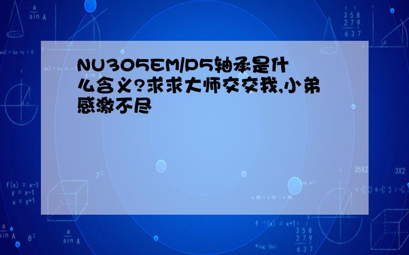 NU305EM/P5轴承是什么含义?求求大师交交我,小弟感激不尽