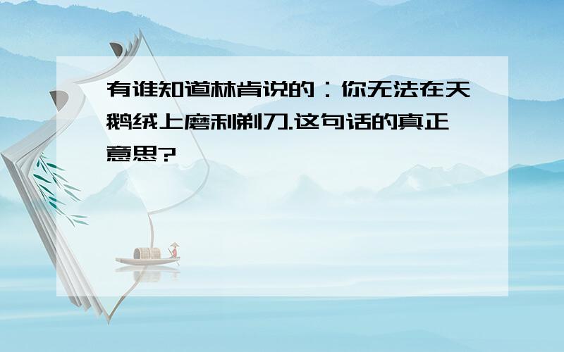 有谁知道林肯说的：你无法在天鹅绒上磨利剃刀.这句话的真正意思?