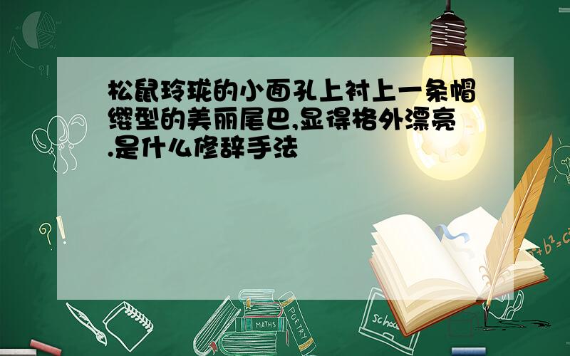 松鼠玲珑的小面孔上衬上一条帽缨型的美丽尾巴,显得格外漂亮.是什么修辞手法