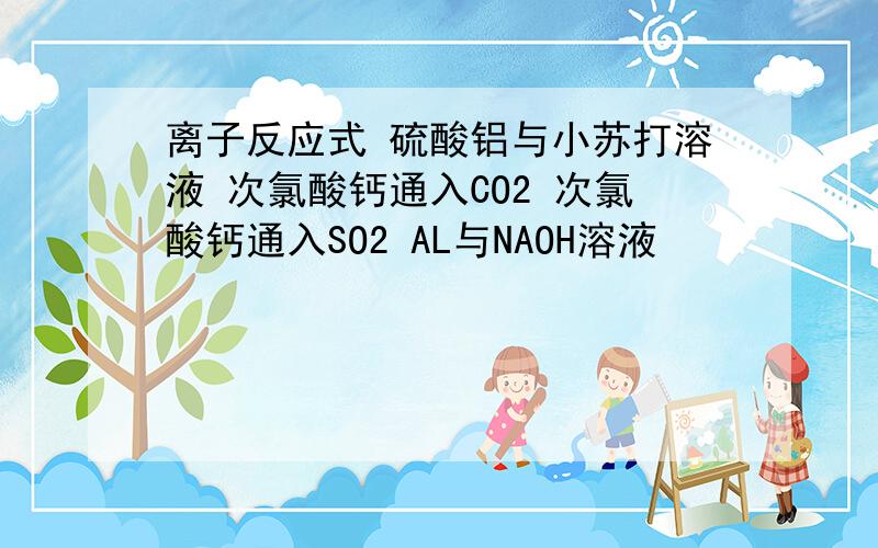 离子反应式 硫酸铝与小苏打溶液 次氯酸钙通入CO2 次氯酸钙通入SO2 AL与NAOH溶液