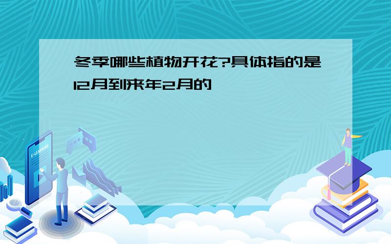 冬季哪些植物开花?具体指的是12月到来年2月的