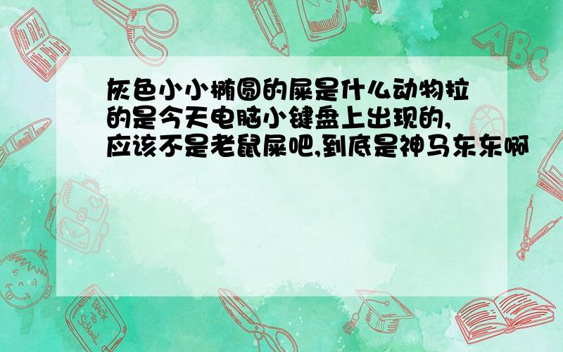 灰色小小椭圆的屎是什么动物拉的是今天电脑小键盘上出现的,应该不是老鼠屎吧,到底是神马东东啊