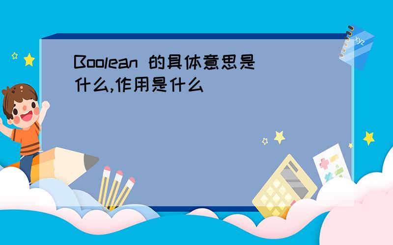 Boolean 的具体意思是什么,作用是什么