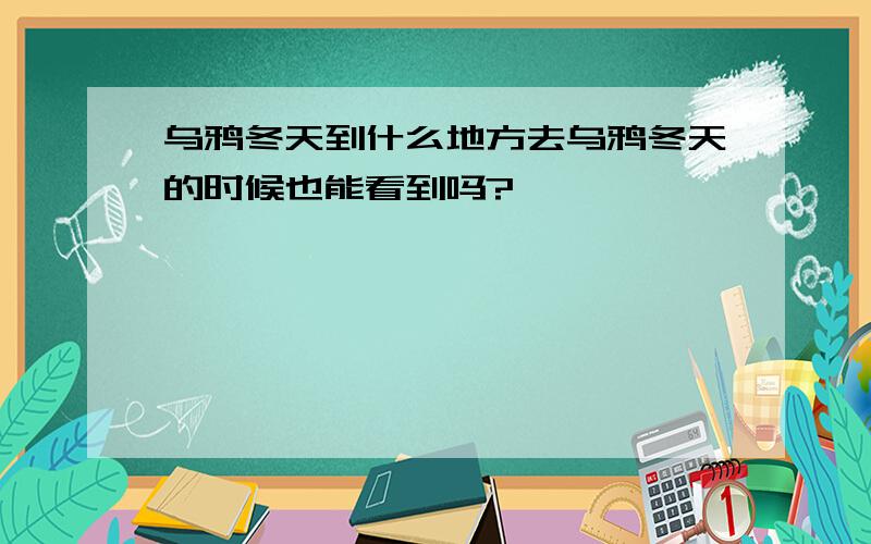 乌鸦冬天到什么地方去乌鸦冬天的时候也能看到吗?