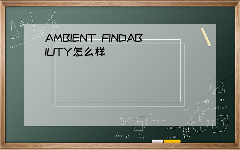 AMBIENT FINDABILITY怎么样