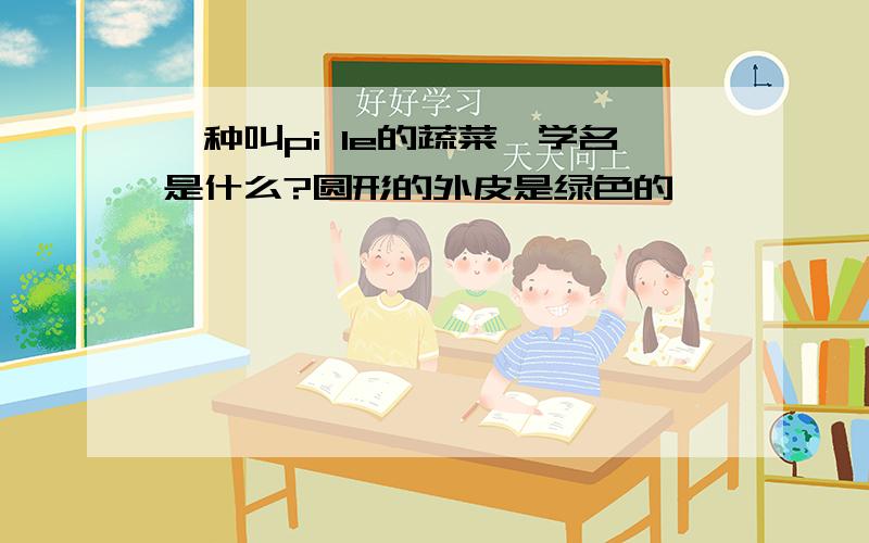 一种叫pi le的蔬菜,学名是什么?圆形的外皮是绿色的