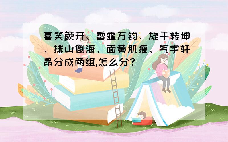 喜笑颜开、雷霆万钧、旋干转坤、排山倒海、面黄肌瘦、气宇轩昂分成两组,怎么分?