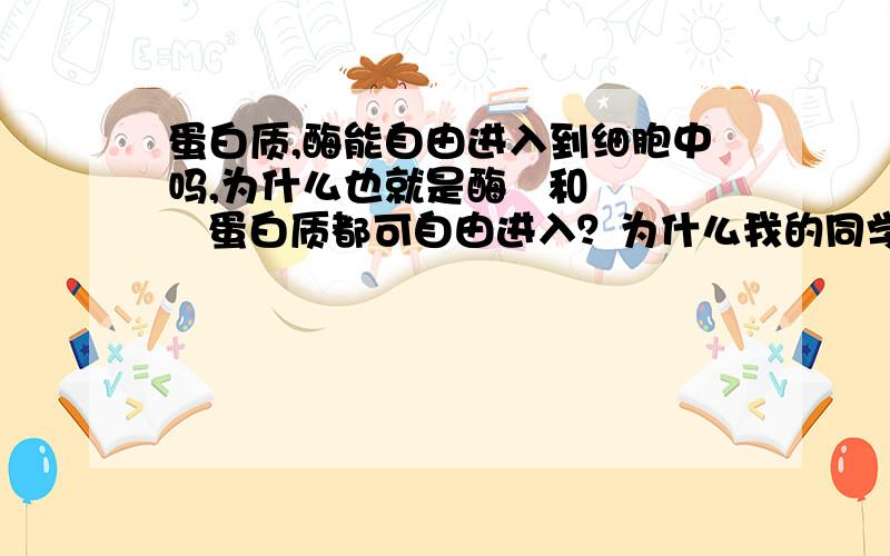 蛋白质,酶能自由进入到细胞中吗,为什么也就是酶   和    蛋白质都可自由进入？为什么我的同学说蛋白质可以，酶不可以，他还跟我说酶也是蛋白质的一种。。。