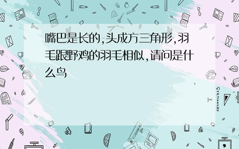 嘴巴是长的,头成方三角形,羽毛跟野鸡的羽毛相似,请问是什么鸟