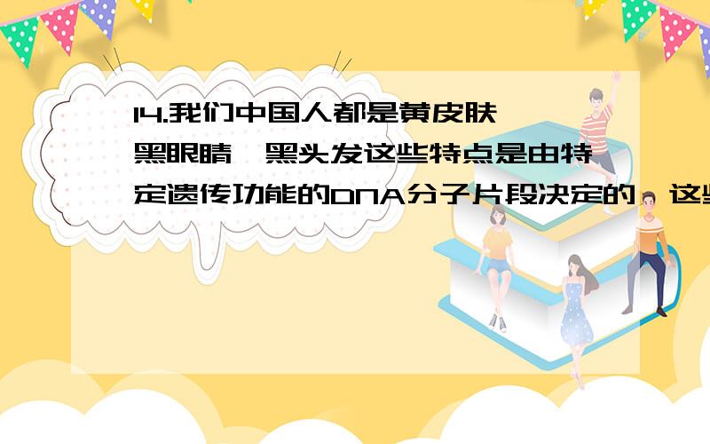 14.我们中国人都是黄皮肤、黑眼睛、黑头发这些特点是由特定遗传功能的DNA分子片段决定的,这些片段是（ ）A、染色体 B、基因 C、遗传信息 D、DNA