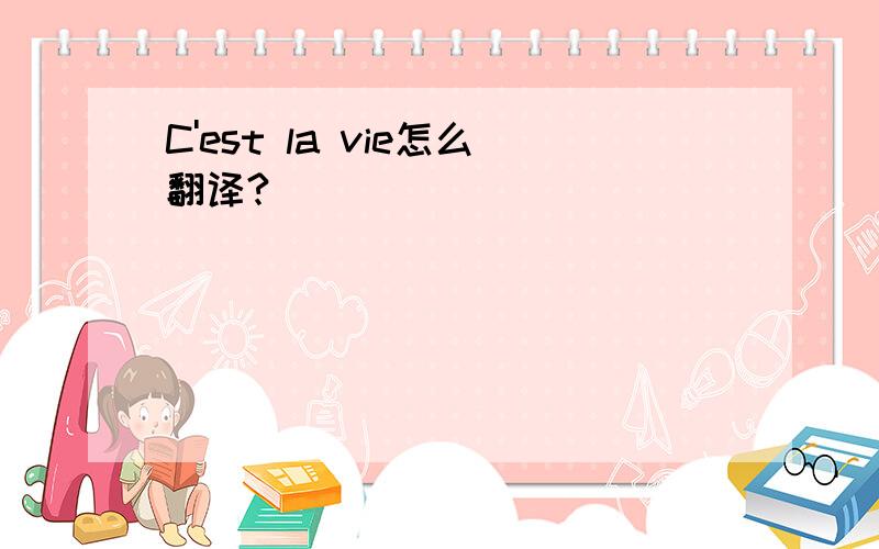 C'est la vie怎么翻译?