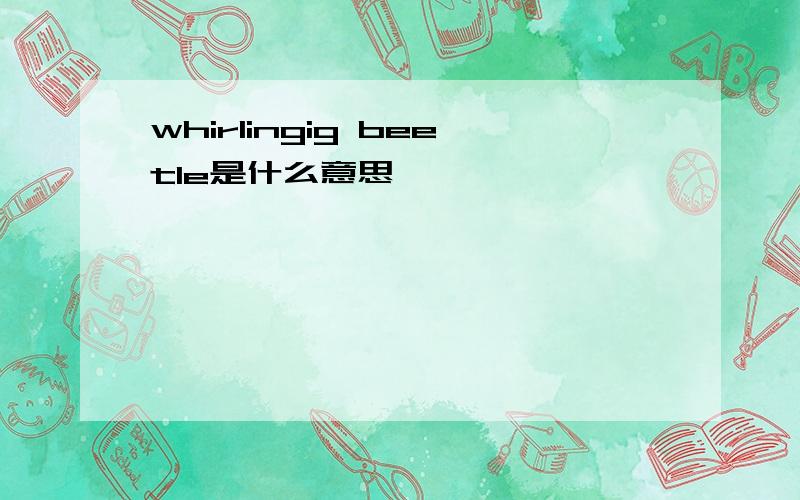 whirlingig beetle是什么意思