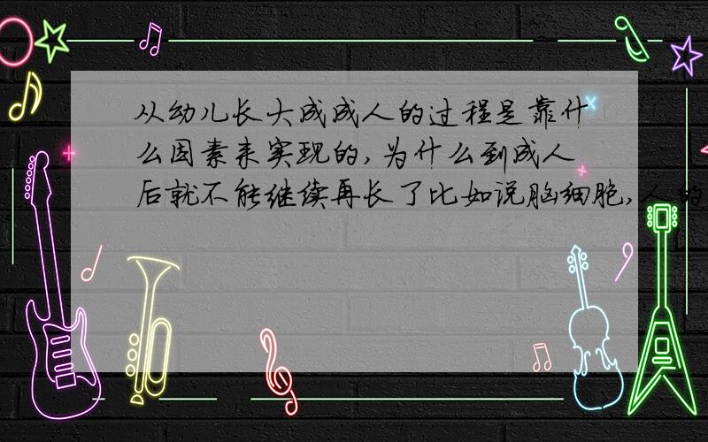 从幼儿长大成成人的过程是靠什么因素来实现的,为什么到成人后就不能继续再长了比如说脑细胞,人的体格,和生殖器之类都是靠什么因素来发育,如何发育的?