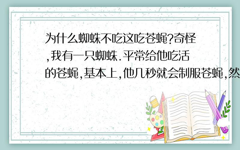 为什么蜘蛛不吃这吃苍蝇?奇怪,我有一只蜘蛛.平常给他吃活的苍蝇,基本上,他几秒就会制服苍蝇,然后开始享受美食.后来,大约有两天没有给它吃东西,想它应该很饿,就抓了一只大苍蝇,放进瓶