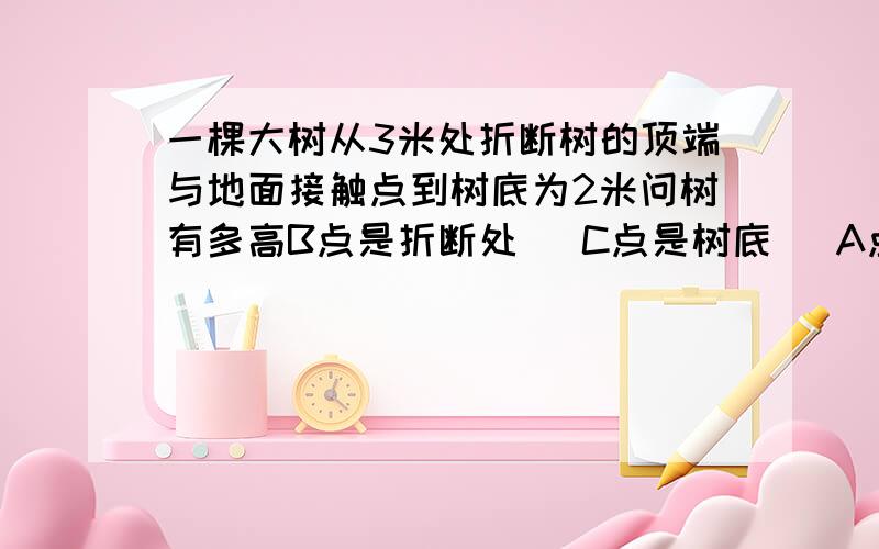 一棵大树从3米处折断树的顶端与地面接触点到树底为2米问树有多高B点是折断处   C点是树底   A点是树的顶端与地面接触点    那个是问号