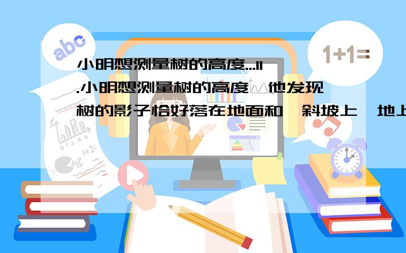 小明想测量树的高度...11.小明想测量树的高度,他发现树的影子恰好落在地面和一斜坡上,地上影子长8m,坡上影子长4m,斜坡坡角是30°,同一时刻,一根长1m 垂直于地面放置的标杆在地面上的影长2m