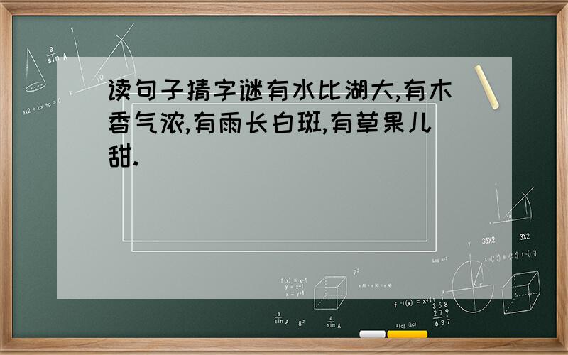 读句子猜字谜有水比湖大,有木香气浓,有雨长白斑,有草果儿甜.