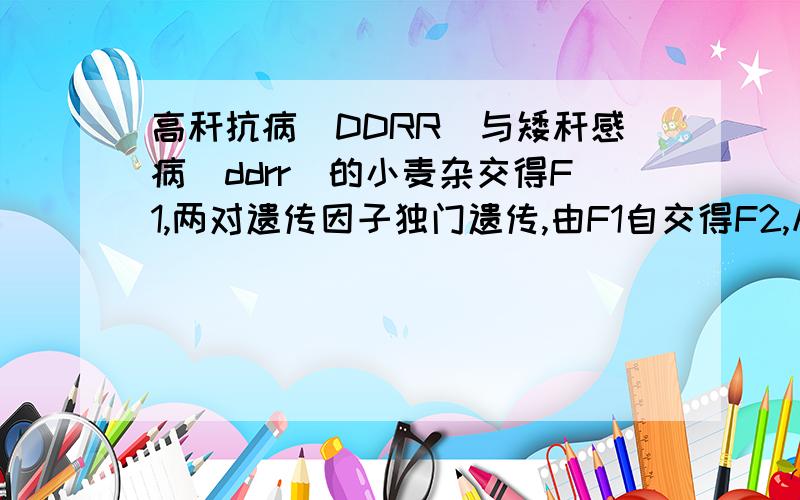 高秆抗病(DDRR)与矮秆感病(ddrr)的小麦杂交得F1,两对遗传因子独门遗传,由F1自交得F2,从F2中选一株矮秆抗病和一株矮秆感病,它们都是纯合子的概率为 A、1/16 B、1/2 C、1/8 D、1/3